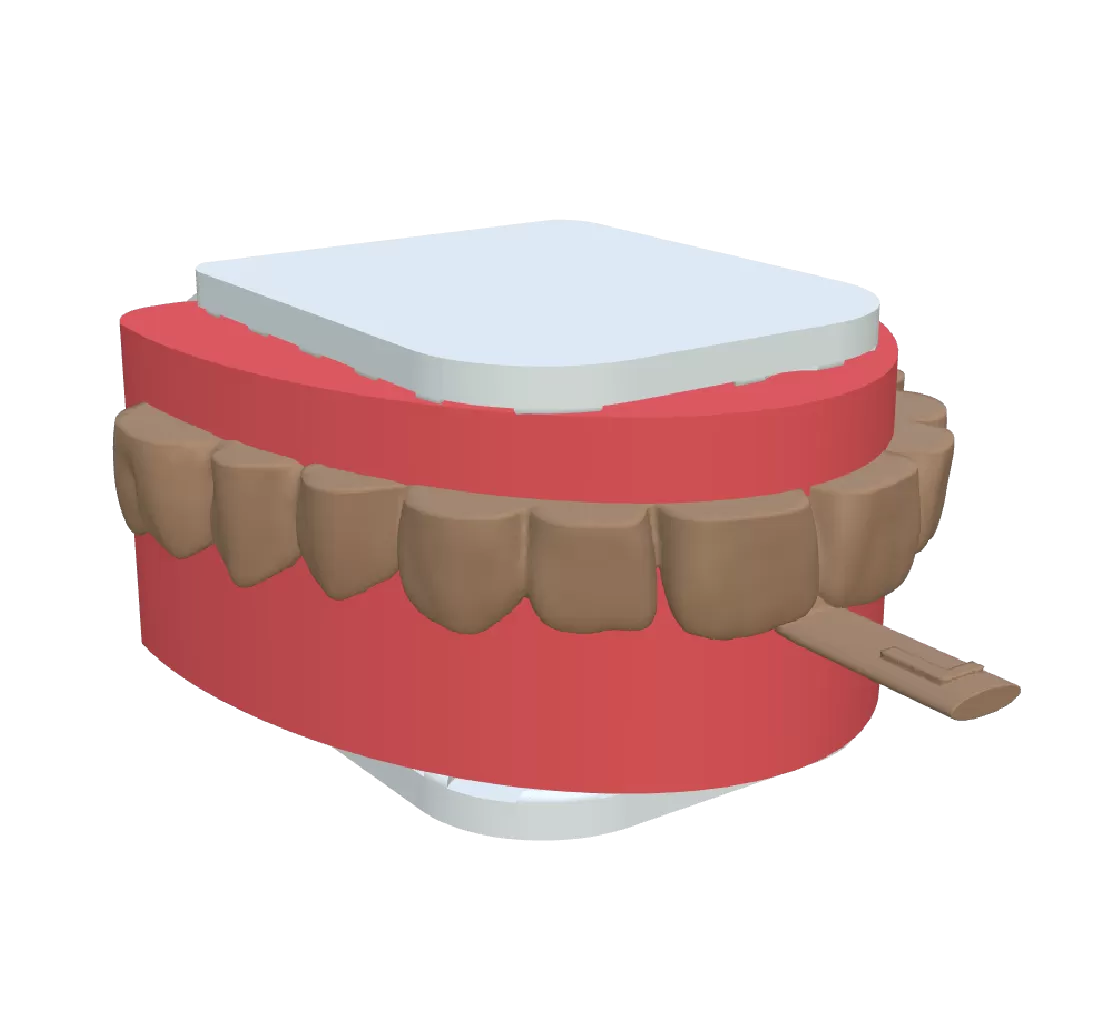 Definir Referências  Estéticas / Incisais