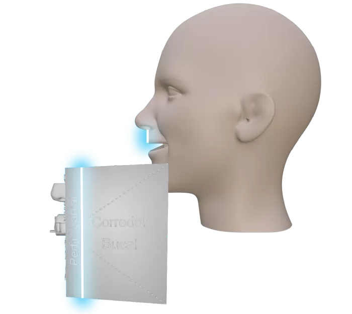 Perfil Labial
